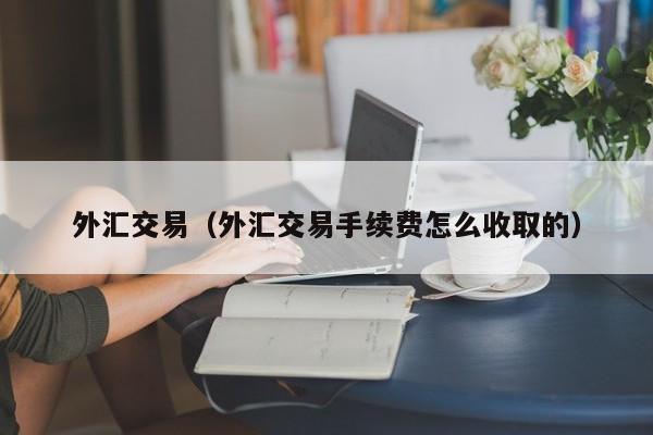 外汇交易（外汇交易手续费怎么收取的）