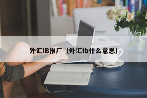 外汇IB推广（外汇ib什么意思）