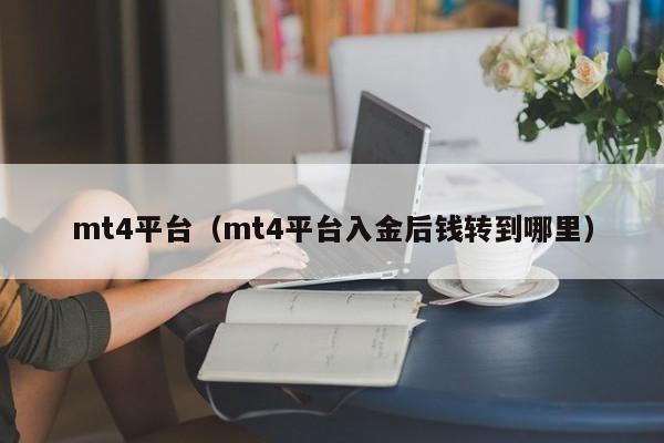 mt4平台（mt4平台入金后钱转到哪里）
