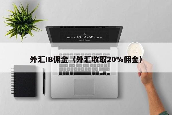 外汇IB佣金（外汇收取20%佣金）