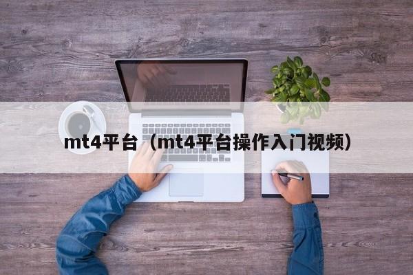 mt4平台（mt4平台操作入门视频）