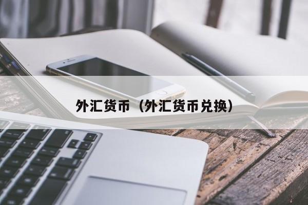外汇货币（外汇货币兑换）