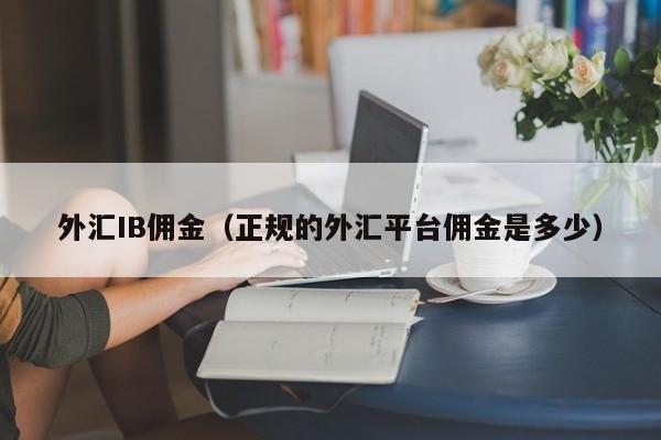 外汇IB佣金（正规的外汇平台佣金是多少）