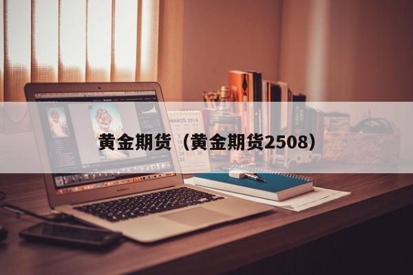黄金期货（黄金期货2508）